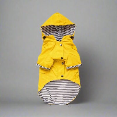jaune manteau pour chien fashion