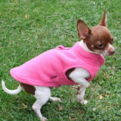 chihuahua manteau pour chien polaire rose