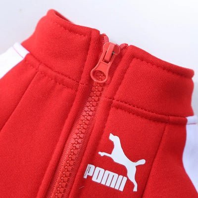 manteau pour chien sport chaud