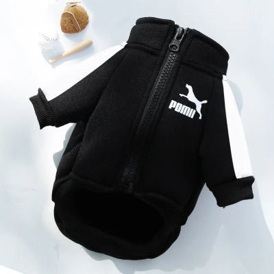 manteau pour chien sport confortable