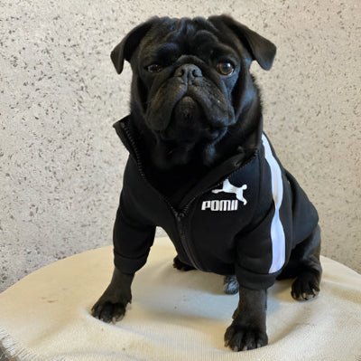 carlin manteau pour chien sport noir
