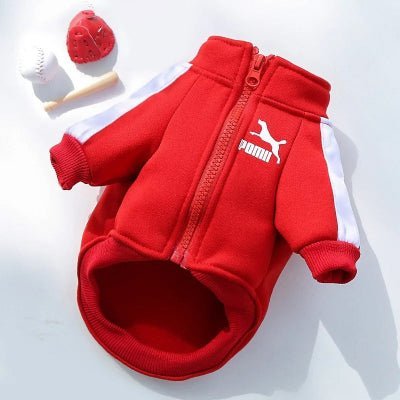 manteau pour chien sport style