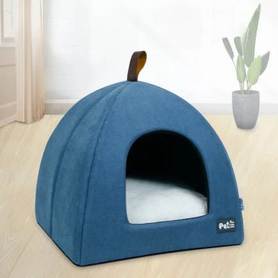 niche chien caverna bleu