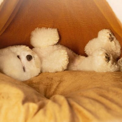 coussin moelleux niche chien yourte