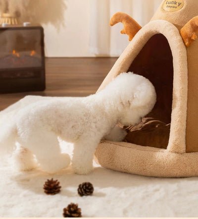 niche chien yourte caniche