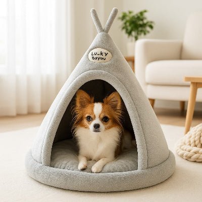 niche chien yourte chihuahua