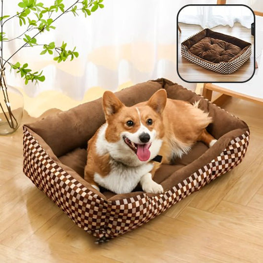 Panier chien - Chien Ravi