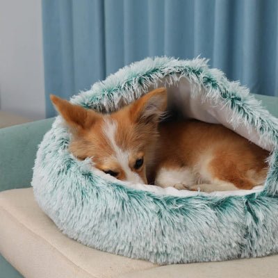 panier chien donut corgi