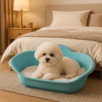 joli-panier-chien-plastique-bichon