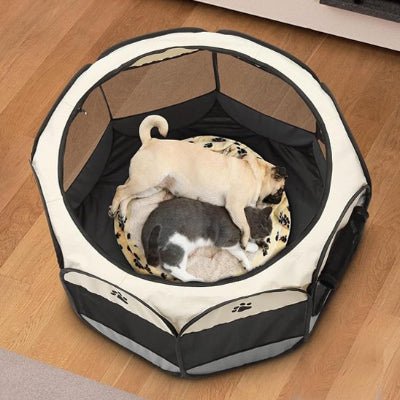 Parc a chien spacieux