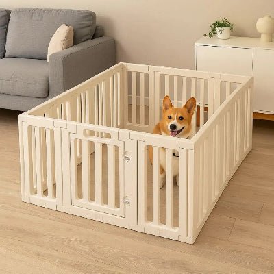 parc-chien-premium-corgi