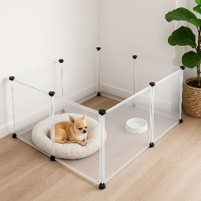 parc-interieur-chien-chihuahua