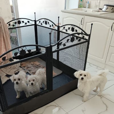 joli-parc-pour-chien-modulaire