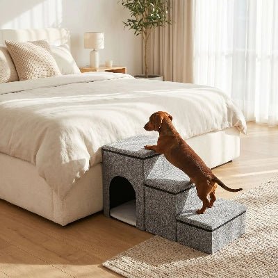 Petit escalier pour chien Multifonction teckel