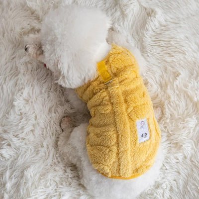 bichon pull chien mignon jaune