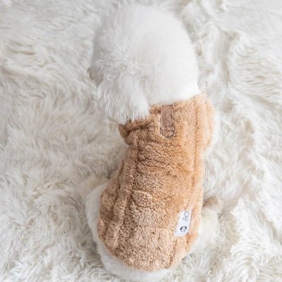 bichon pull chien mignon beige