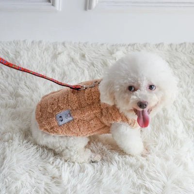 pull chien mignon design adorable