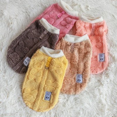 pull chien mignon variantes couleurs