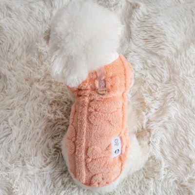bichon pull chien mignon rose clair