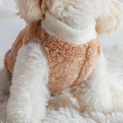 doux pull chien mignon chaud