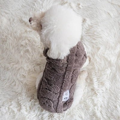 bichon pull chien mignon gris