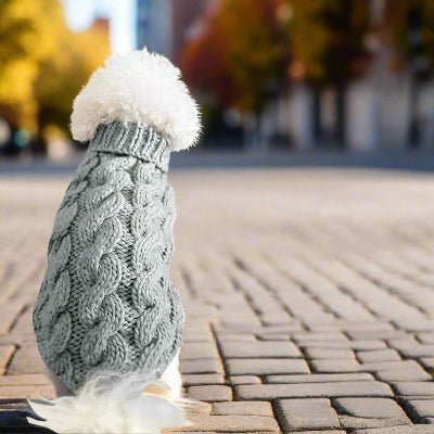 pull chien warmknitt gris