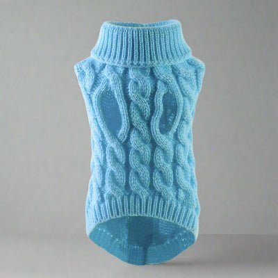 pull chien warmknitt laine bleue