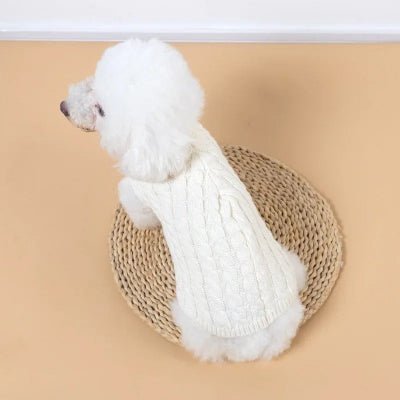 pull chien warmknitt blanc