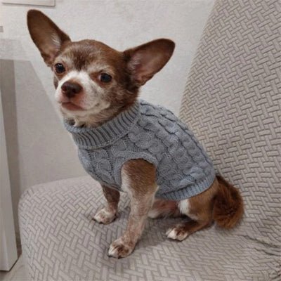 pull chien warmknitt gris chihuahua