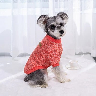 pull chien classique chaud