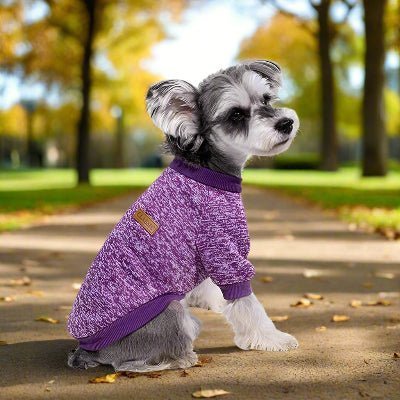 joli pull chien classique mauve