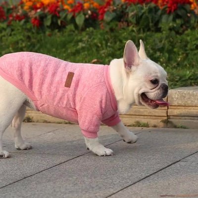 pink pull chien classique rose