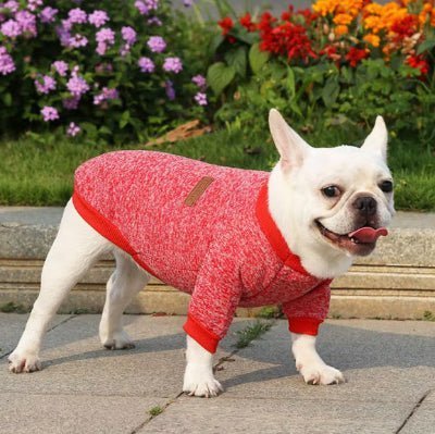 confortable pull chien classique rouge