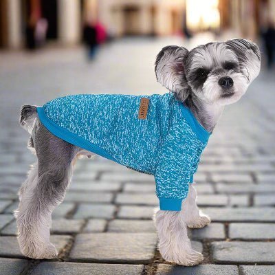 beau pull chien classique