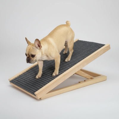 Rampe pour chien bulldog français