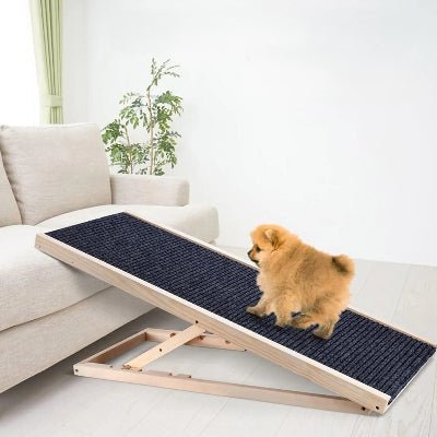 Rampe pour chien petit poméranien