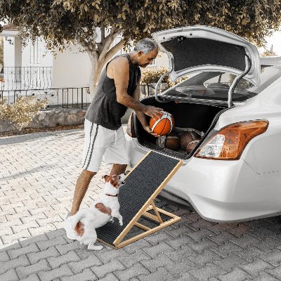 Rampe pour chien monter voiture
