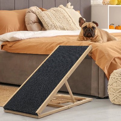 Rampe pour chien bulldog lit