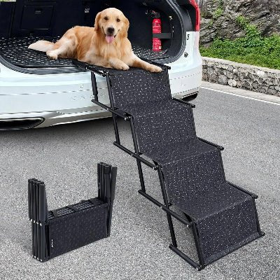 Rampe pour chien voiture golden retriever