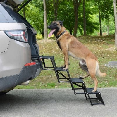 Rampe pour chien voiture berger allemand