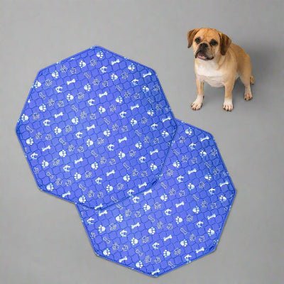 deux tapis absorbant chien bleu