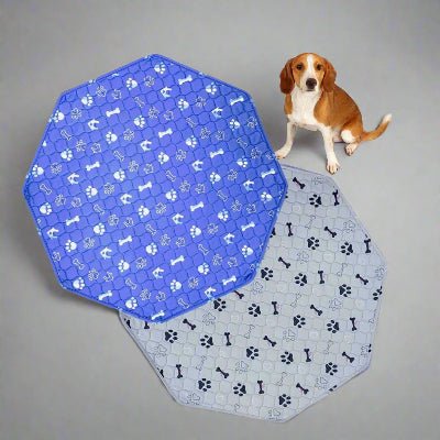 tapis absorbant chien bleu gris