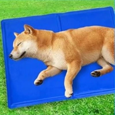 tapis-chien-rafraichissant-akita