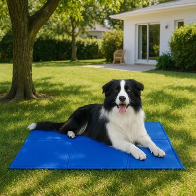 tapis-chien-rafraichissant-berger