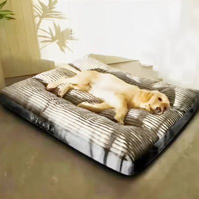 joli tapis chien velvetcarpet gris