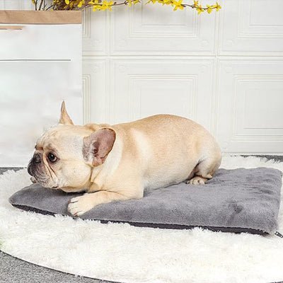tapis-pour-chien-fluffyness-bulldog-francais