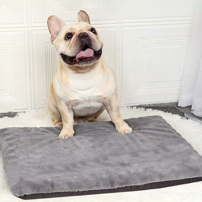 bulldog tapis pour chien fluffyness