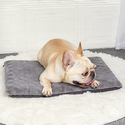 confortable tapis pour chien fluffyness