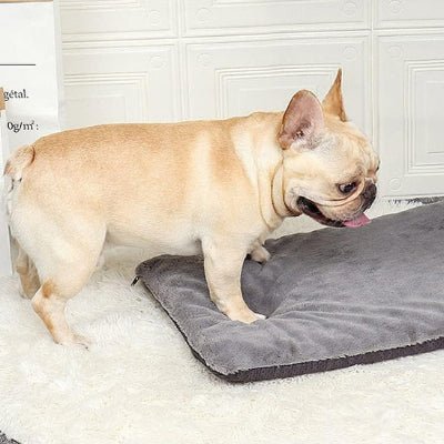 joli-tapis-pour-chien-fluffyness-bulldog