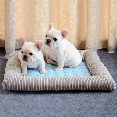 tapis pour chien rafraichissant cozyfresh confortable